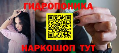 дмт Обь