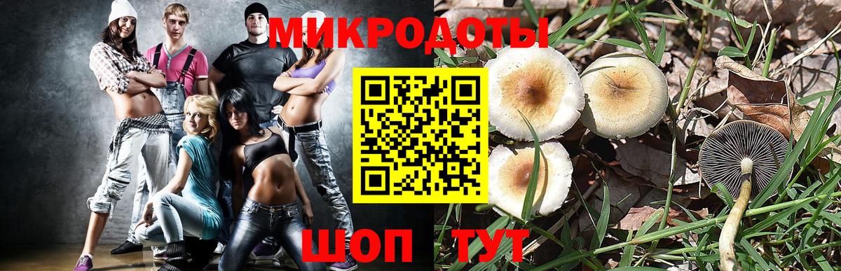 Псилоцибиновые грибы MAGIC MUSHROOMS Сургут